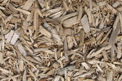 biomass boilers Leadburn