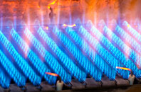 Leadburn gas fired boilers